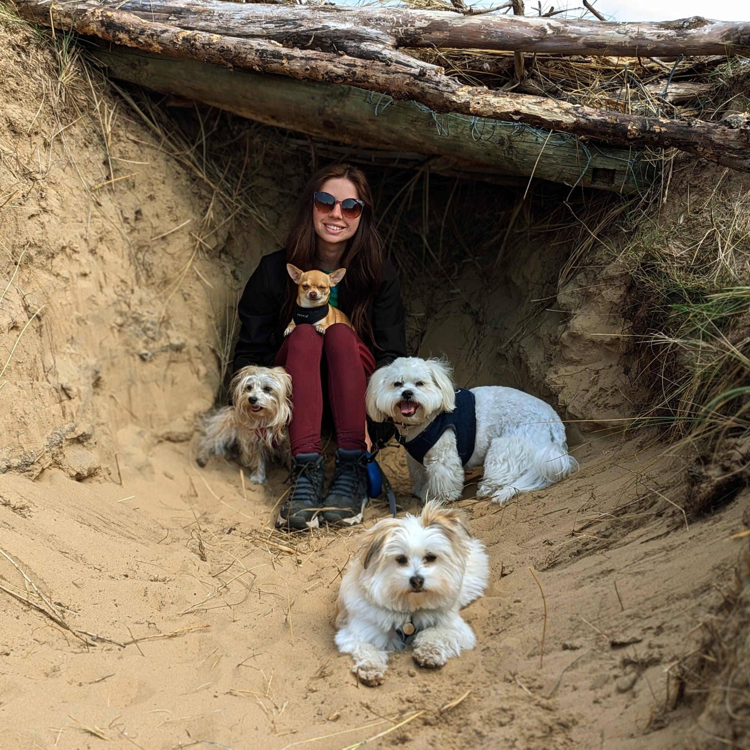 Katie from Fairy Dog Mothers sitting in the sand dunes surrounded by four small, fluffy dogs, one of them on her lap